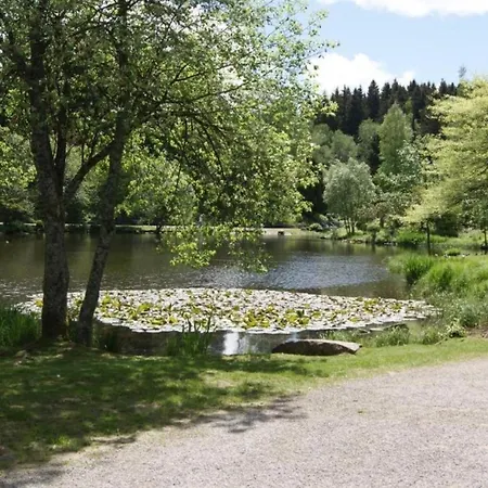 Schmidt Braunlage